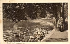 VINTAGE POSTCARD Paris With the wood of Boulogne Swans on the lower lake Swans