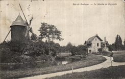 VINTAGE POSTCARD Wood of Boulogune the Mill of Trifle