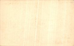 POSTAL Paris de la VENDIMIA los puentes de Notre Dame