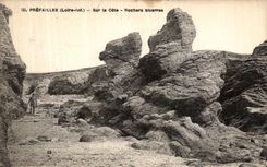 CPA Prefailles Sur la Cote Rochers Bizarres