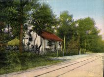 CPA Saint Brevin L Ocean Neuvillette Une Avenue Dans Les Bois