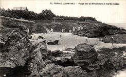 CPA Pornic Plage de la Birochiere a maree Basse