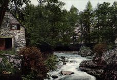 VINTAGE POSTCARD Fields on Tarentaine Tarentaine and the Old Mill