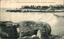 Concha de Royan de la POSTAL de la VENDIMIA de la paloma la vista D junto