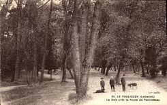 VINTAGE POSTCARD Pouliguen Wood Close the Road of Penchateau