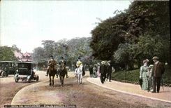VINTAGE POSTCARD Bois de Boulogne Close to the Chinese House Horses