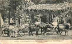 VINTAGE POSTCARD Garden D Acclimatization of Paris Indian Caravan