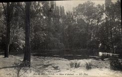 VINTAGE POSTCARD Bais of Boulogne Pond D Auteuil