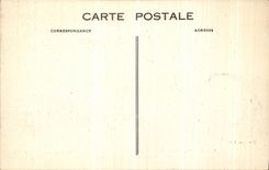 POSTAL D vista Paris de la VENDIMIA junto de Notre Dame tomado con el pie de L acacia centanaire de varias veces