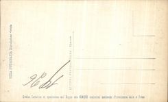 Islas grandes Borromees Lago Maggiore del hotel del collar del panorama de la POSTAL de la VENDIMIA tensionado