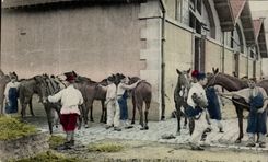 VINTAGE POSTCARD pleasures Of the Barracks grooming Militaria Horses Horse