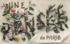 Flores del pensamiento de Paris de la POSTAL de la VENDIMIA