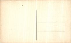 VINTAGE POSTCARD Dauphine Treminis Village of Low Castle and L Obiou