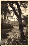 VINTAGE POSTCARD Soft France the Moors De Gascogne Payasage Landais