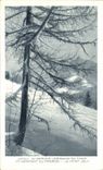 CPA St Gervais Les Bains En Hiver En Montant Au Prarion Le Mont Joly 