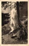 VINTAGE POSTCARD Dasuphine the Cascade of L Oursiere