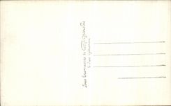 VINTAGE POSTCARD the great Sound and the convent