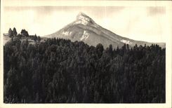 VINTAGE POSTCARD In Chartreuse the Peak of Chamechaude