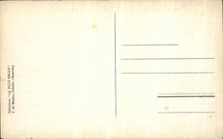 VINTAGE POSTCARD Valley of Borough St Maurice and the Collar of Small St Bernard