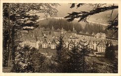 Chartreuse grande de Dauphine de la POSTAL de la VENDIMIA el convento