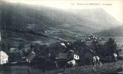 VINTAGE POSTCARD Surroundings of Grenoble Sappey Cows