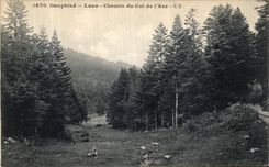 VINTAGE POSTCARD Dauphine Lans Way of the Collar of L Arc