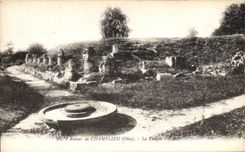 Ruinas de la POSTAL de la VENDIMIA de Champlieu el templo