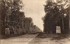 VINTAGE POSTCARD Park of the Castle Of Chantilly L gone of L drive
