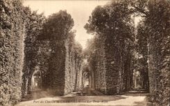 VINTAGE POSTCARD Park of the Castle of Chantilly three alleys