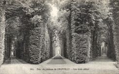VINTAGE POSTCARD Park of the Castle Of Chantilly three alleys