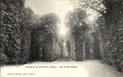 VINTAGE POSTCARD Castle of Chantilly Three Alleys