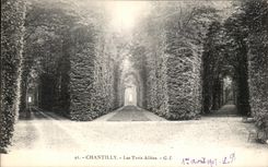 VINTAGE POSTCARD Chantilly Three Alleys