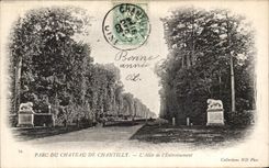 VINTAGE POSTCARD Park Of the Castle of Chantilly L gone of L drive