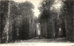 VINTAGE POSTCARD Chantilly Three Alleys