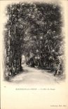 CPA Bagnoles de l Orne L Allee du Dante