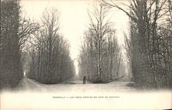 VINTAGE POSTCARD Chantilly Three Avenues opposite the castle