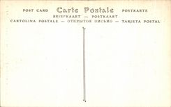 VINTAGE POSTCARD Castle of Chantilly Entered of the rotunda