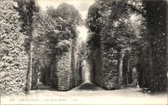 VINTAGE POSTCARD Chantilly Three Alleys