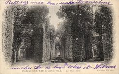 VINTAGE POSTCARD Park of the Castle Of Chantilly three alleys