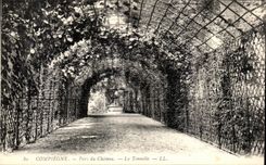 VINTAGE POSTCARD Compiegne the Castle Park of the castle Arbor