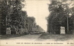 VINTAGE POSTCARD Park Of the Castle of Chantilly L Gone of L Drive