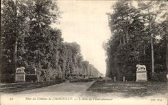VINTAGE POSTCARD Park Of the Castle of Chantilly L Gone of L Drive
