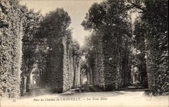 VINTAGE POSTCARD Park of the Castle of Chantilly Three Alleys