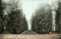 CPA Chantilly Les Trois Allees