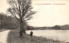 VINTAGE POSTCARD Drill of Compiegne the Ponds St Pierre
