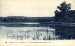 VINTAGE POSTCARD Drill of Compiegne ponds of Saint Pierre