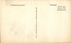 VINTAGE POSTCARD Andre del Sarto Portrait of young man museum Chantilly Cop