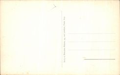 VINTAGE POSTCARD Needle of Venoise