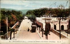 VINTAGE POSTCARD Hendaye L Avenue of the Palm trees and the Eskualduna Galleries