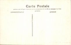 VINTAGE POSTCARD Pau the Palate D Winter